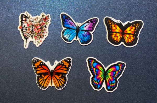 Colorful Butterflies 5PC Shoe Charms - RESIN